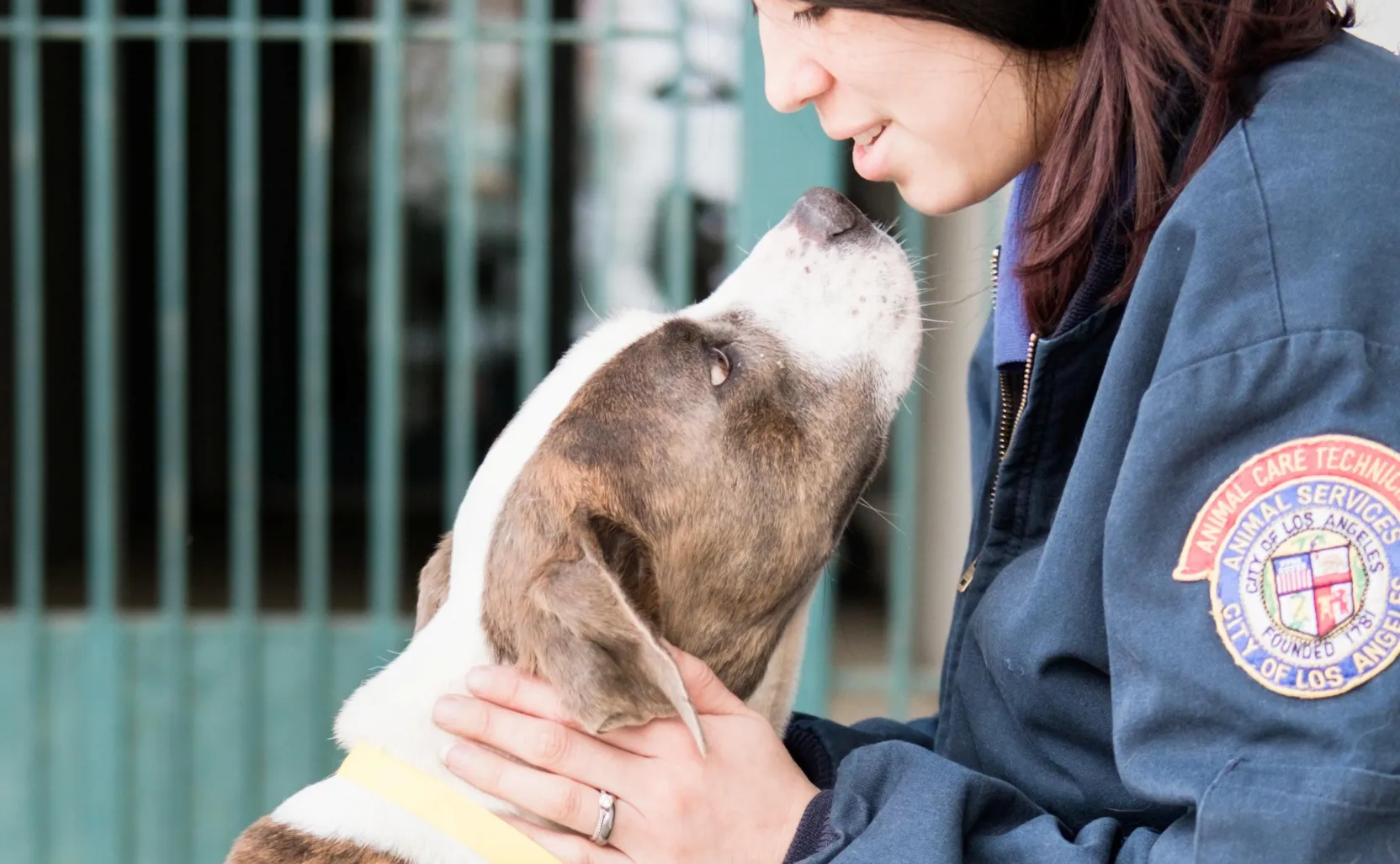 10 days or more LA Animal Services